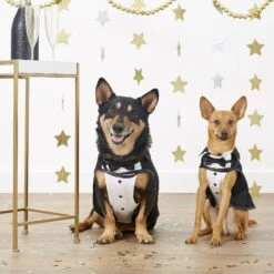 Frisco Formal Dog & Cat Tuxedo, Black -Paws Joy Outlet Store 160819 PT3. AC SS1800 V1567176451