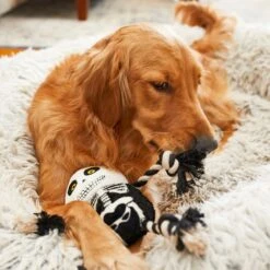 Frisco Halloween Skeleton Plush With Rope Squeaky Dog Toy -Paws Joy Outlet Store 161358 PT6. AC SS1800 V1597599370