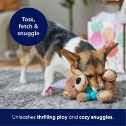 Frisco Birthday Bear Plush Squeaky Dog Toy -Paws Joy Outlet Store 162836 PT4. AC SS1800 V1695670999