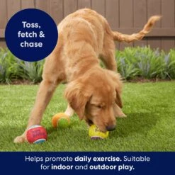 Frisco Birthday Fetch Squeaky Tennis Ball Dog Toy -Paws Joy Outlet Store 162914 PT3. AC SS1800 V1692019914