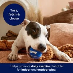 Frisco Chewy Fetch Squeaky Tennis Ball Dog Toy -Paws Joy Outlet Store 164314 PT3. AC SS1800 V1691783970