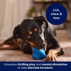 Frisco Flying Saucer Rubber Treat Dispenser Dog Toy -Paws Joy Outlet Store 164757 PT5. AC SS1800 V1691784247