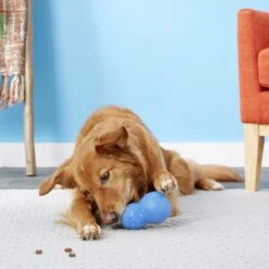 Frisco Snowman Rubber Treat Dispenser Dog Toy -Paws Joy Outlet Store 164769 PT4. AC SS1800 V1563808954