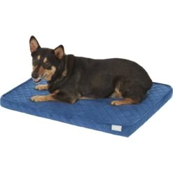 Frisco Quilted Orthopedic Pillow Cat & Dog Bed W/Removable Cover -Paws Joy Outlet Store 165196 PT2. AC SS1800 V1568726226