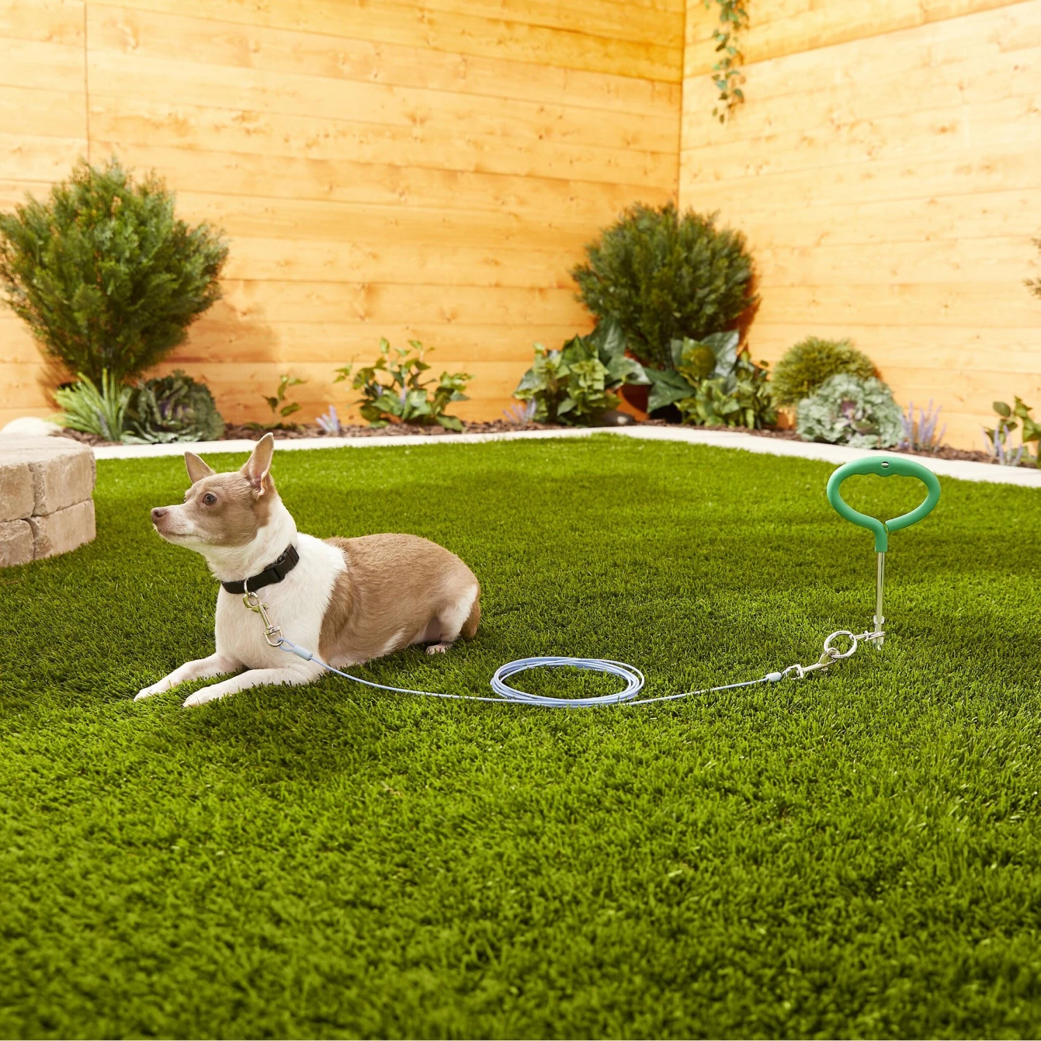 Frisco Tie Out Cable, Small 2 Frisco Tie Out Cable, Small - Image 2