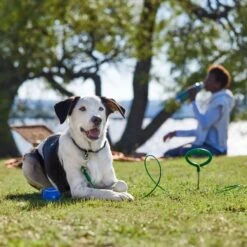 Frisco Easy Grip Stake With Tie Out Cable, Large 10 Frisco Easy Grip Stake With Tie Out Cable, Large -Paws Joy Outlet Store 166447 PT5. AC SS1800 V1701796826