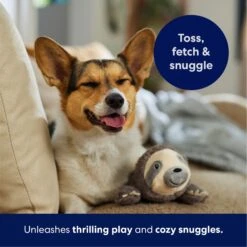 Frisco Sloth Plush Squeaky Dog Toy 10 Frisco Sloth Plush Squeaky Dog Toy -Paws Joy Outlet Store 174681 PT4. AC SS1800 V1695671029