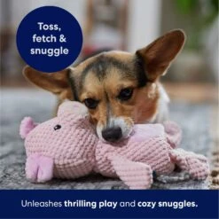 Frisco Pig Textured Plush Squeaky Dog Toy 10 Frisco Pig Textured Plush Squeaky Dog Toy -Paws Joy Outlet Store 174695 PT4. AC SS1800 V1695670689