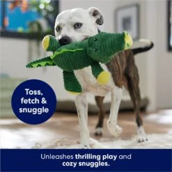 Frisco Alligator Corduroy Plush Squeaky Dog Toy -Paws Joy Outlet Store 174705 PT5. AC SS1800 V1686580081