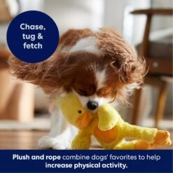 Frisco Duck Plush With Inside Rope Squeaky Dog Toy -Paws Joy Outlet Store 174723 PT4. AC SS1800 V1695671059