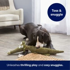 Frisco Triceratops Wagazoo Plush Squeaky Dog Toy 10 Frisco Triceratops Wagazoo Plush Squeaky Dog Toy -Paws Joy Outlet Store 174747 PT4. AC SS1800 V1695748419