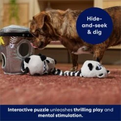 Frisco Trash Can & Raccoons Hide & Seek Puzzle Plush Squeaky Dog Toy -Paws Joy Outlet Store 174757 PT5. AC SS1800 V1691784248