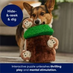 Frisco Monkeys In Tree Hide & Seek Puzzle Plush Squeaky Dog Toy -Paws Joy Outlet Store 174759 PT5. AC SS1800 V1702598595