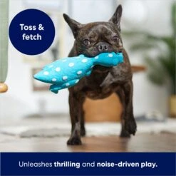 Frisco Dinosaur Latex Squeaky Dog Toy -Paws Joy Outlet Store 174770 PT3. AC SS1800 V1686579138