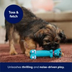 Frisco Latex Squeaky Puppy Toy -Paws Joy Outlet Store 174775 PT5. AC SS1800 V1691784247