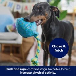 Frisco Birthday Balloon Plush With Rope Squeaky Dog Toy 8 Frisco Birthday Balloon Plush With Rope Squeaky Dog Toy -Paws Joy Outlet Store 177807 PT3. AC SS1800 V1695241973