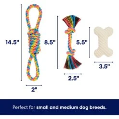 Frisco Jungle Pals Plush & Rope Variety Pack Dog Toy -Paws Joy Outlet Store 177819 PT2. AC SS1800 V1686579629
