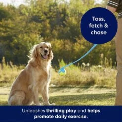 Frisco Ball Launcher & Fetch Squeaky Tennis Ball Dog Toy -Paws Joy Outlet Store 178477 PT3. AC SS1800 V1695241970