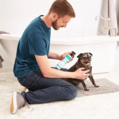 Frisco Aloe Hydrating Dog & Cat Spray, Sweet Nectar Scent -Paws Joy Outlet Store 192084 PT3. AC SS1800 V1585321073