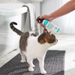 Frisco Aloe Hydrating Dog & Cat Spray, Sweet Nectar Scent -Paws Joy Outlet Store 192084 PT4. AC SS1800 V1589487682