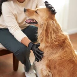 Frisco Dog & Cat Deshedding & Grooming Gloves, Black 12 Frisco Dog & Cat Deshedding & Grooming Gloves, Black -Paws Joy Outlet Store 206843 PT5. AC SS1800 V1610762484