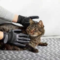 Frisco Dog & Cat Deshedding & Grooming Gloves, Black 13 Frisco Dog & Cat Deshedding & Grooming Gloves, Black -Paws Joy Outlet Store 206843 PT6. AC SS1800 V1610768364