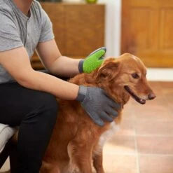 Frisco Dog & Cat Adjustable Grooming Gloves -Paws Joy Outlet Store 206847 PT5. AC SS1800 V1610763673