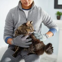 Frisco Dog & Cat Adjustable Grooming Gloves -Paws Joy Outlet Store 206847 PT6. AC SS1800 V1610768190