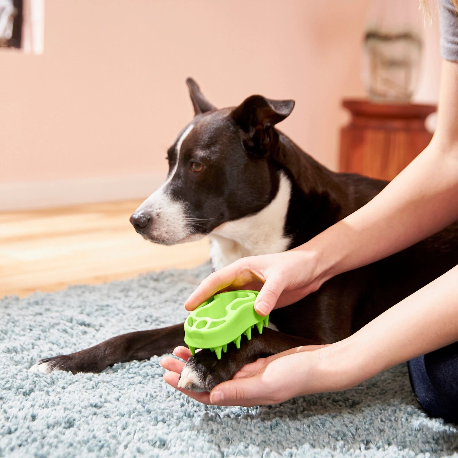 Frisco Bone Dog Curry Brush 3 Frisco Bone Dog Curry Brush - Image 3