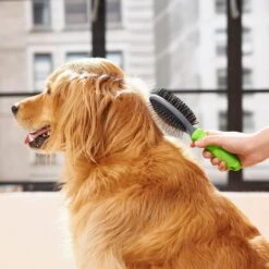 Frisco Cat & Dog Pin Bristle Brush -Paws Joy Outlet Store 206855 PT6. AC SS1800 V1680186157