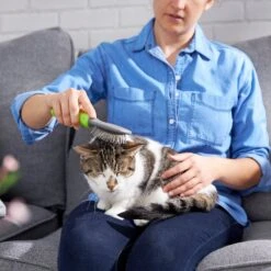 Frisco Cat & Dog Pin Brush -Paws Joy Outlet Store 206861 PT7. AC SS1800 V1680186386