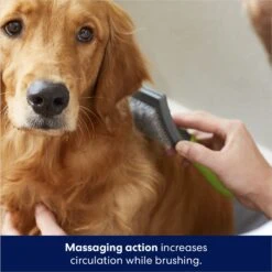 Frisco Self-Cleaning Slicker Dog Brush -Paws Joy Outlet Store 206863 PT5. AC SS1800 V1680186156