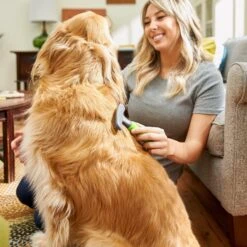 Frisco Shedding Rake Dog & Cat Brush 8 Frisco Shedding Rake Dog & Cat Brush -Paws Joy Outlet Store 206871 PT6. AC SS1800 V1680186390