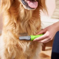 Frisco Dematting Dog Rake, One Size -Paws Joy Outlet Store 206873 PT6. AC SS1800 V1680186104