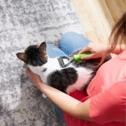 Frisco Dematting Double-Sided Dog & Cat Rake -Paws Joy Outlet Store 206875 PT7. AC SS1800 V1680186159
