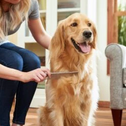 Frisco Metal Dog & Cat Comb -Paws Joy Outlet Store 206882 PT6. AC SS1800 V1680186160