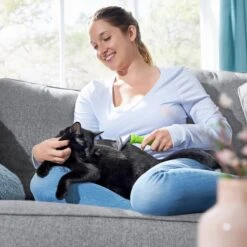 Frisco Deshedding Dog & Cat Brush 8 Frisco Deshedding Dog & Cat Brush -Paws Joy Outlet Store 206892 PT5. AC SS1800 V1680186161