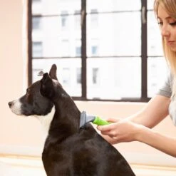 Frisco Deshedding Dog & Cat Brush 9 Frisco Deshedding Dog & Cat Brush -Paws Joy Outlet Store 206892 PT6. AC SS1800 V1680186216