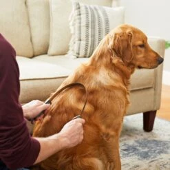 Frisco Shedding Blade Dog Brush, One Size -Paws Joy Outlet Store 206895 PT6. AC SS1800 V1680186099