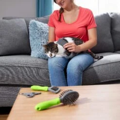 Frisco Beginner Grooming Kit For Dogs And Cats -Paws Joy Outlet Store 206909 PT6. AC SS1800 V1680186162