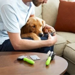 Frisco Beginner Grooming Kit For Dogs And Cats -Paws Joy Outlet Store 206909 PT7. AC SS1800 V1680186156