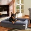 Frisco Orthopedic Rectangular Bolster Cat & Dog Bed W/Removable Cover