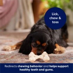 Frisco Chicken Flavor Tough Nylon Dog Chew Toy -Paws Joy Outlet Store 213432 PT5. AC SS1800 V1691784031