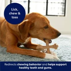 Frisco Peanut Butter Flavor Tough Nylon Dog Chew Toy -Paws Joy Outlet Store 213436 PT5. AC SS1800 V1692019972