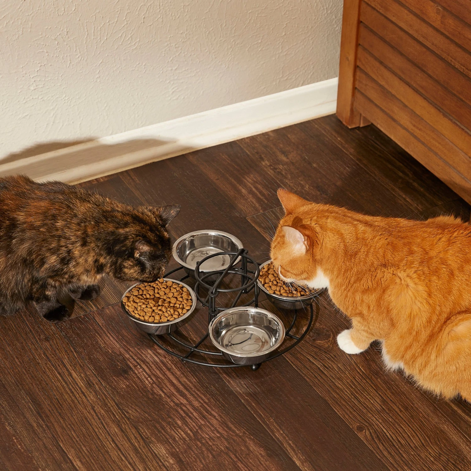 Frisco Multi Pet Feeding 4-Bowls Stainless Steel Dog & Cat Bowls, 0.5 Cup 6 Frisco Multi Pet Feeding 4-Bowls Stainless Steel Dog & Cat Bowls, 0.5 Cup - Image 6