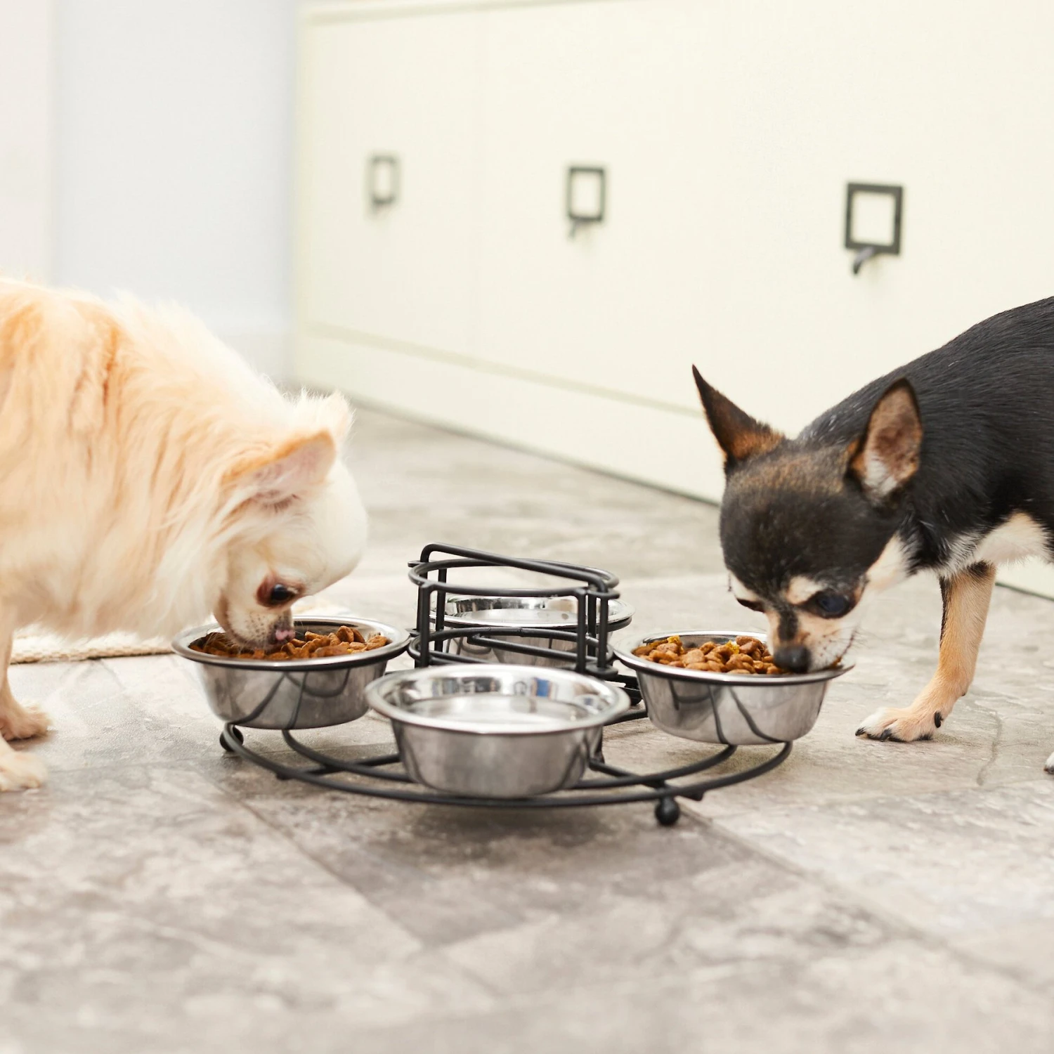 Frisco Multi Pet Feeding 4-Bowls Stainless Steel Dog & Cat Bowls, 0.5 Cup 7 Frisco Multi Pet Feeding 4-Bowls Stainless Steel Dog & Cat Bowls, 0.5 Cup - Image 7