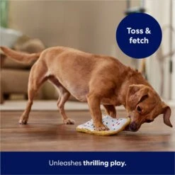 Frisco Frosted Pastry Stuffing-Free Flat Plush Squeaky Dog Toy -Paws Joy Outlet Store 213812 PT5. AC SS1800 V1686579088