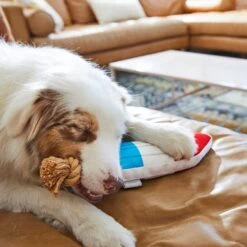 Frisco Summer Fun Plush & Rope Popsicle Dog Toy -Paws Joy Outlet Store 214703 PT6. AC SS1800 V1597596505