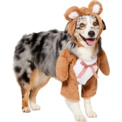 Frisco Front Walking Teddy Bear Dog & Cat Costume -Paws Joy Outlet Store 215507 PT3. AC SS1800 V1624402415