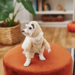 Frisco Front Walking Sloth Dog & Cat Costume -Paws Joy Outlet Store 215539 PT8. AC SS1800 V1599141353